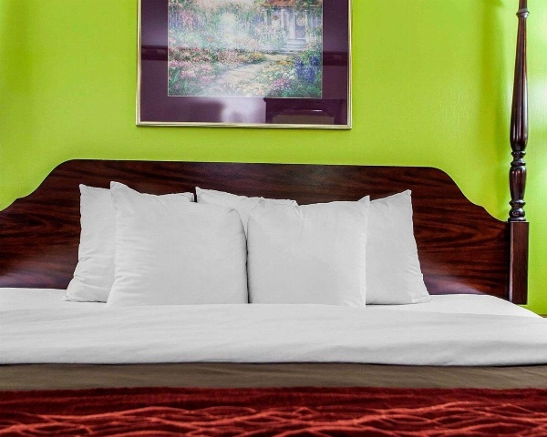 Quality Inn image 7